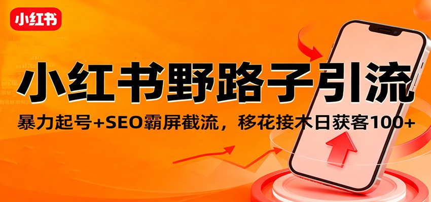 小红书野路子引流，暴力起号+SEO霸屏截流，移花接木日获客100+-资源社·项目库